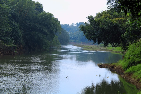 Achankovil River & Backwaters
