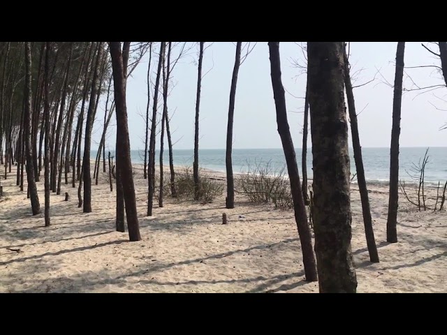 Azheekal Beach Attraction 