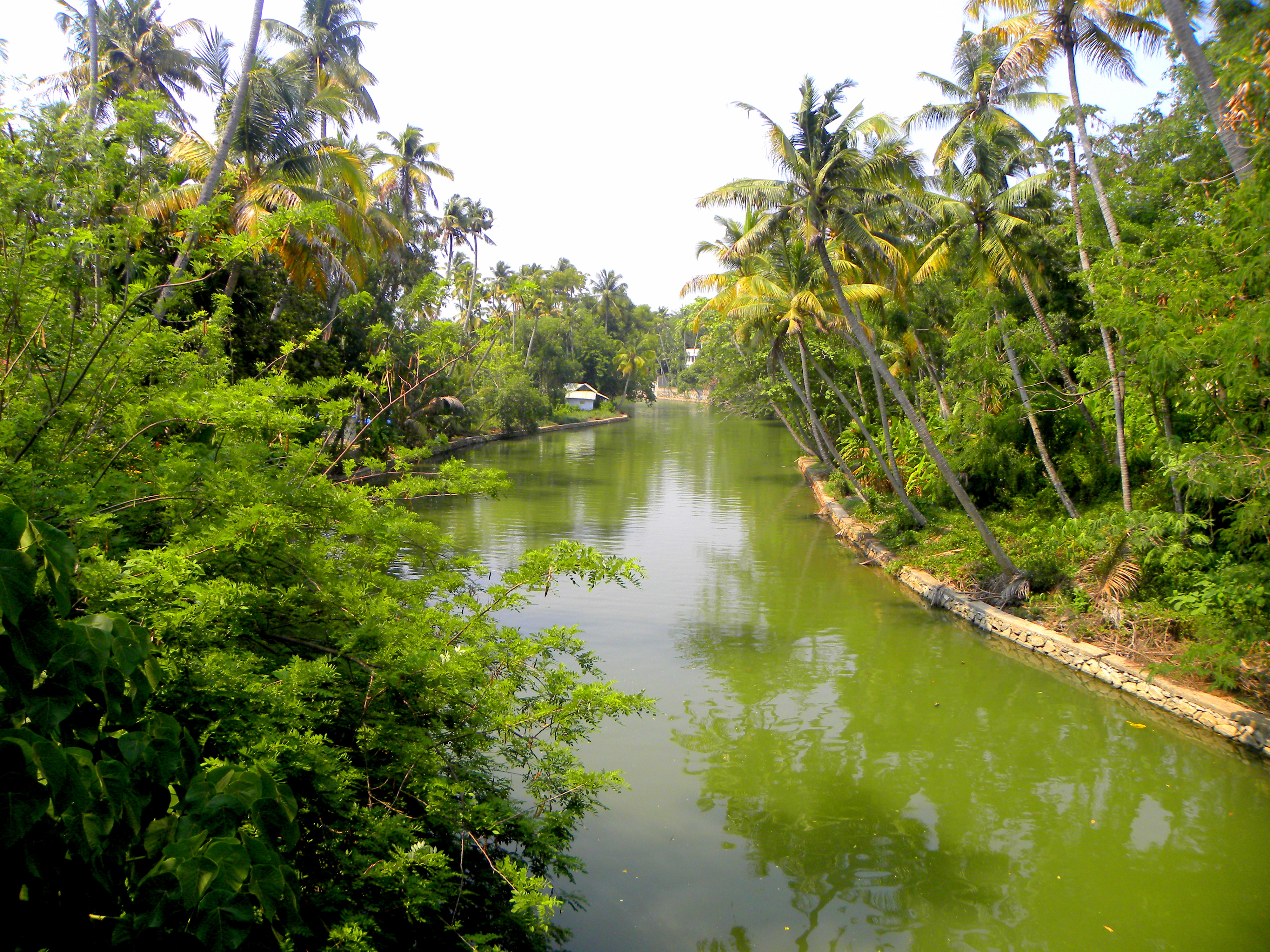 Ithikkara River