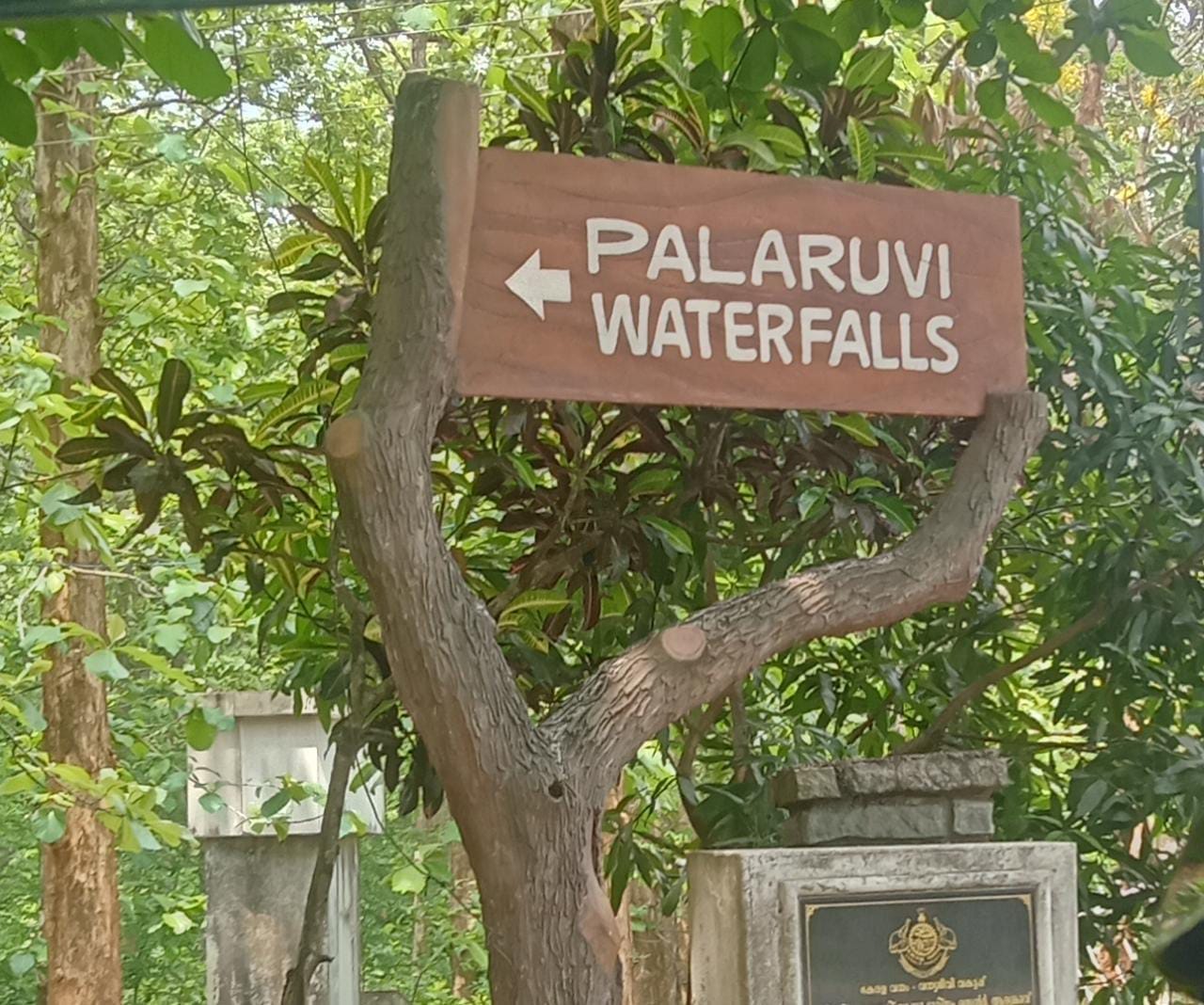  Palaruvi Falls is believed to have medicinal properties, and people come from far and wide to bathe in it