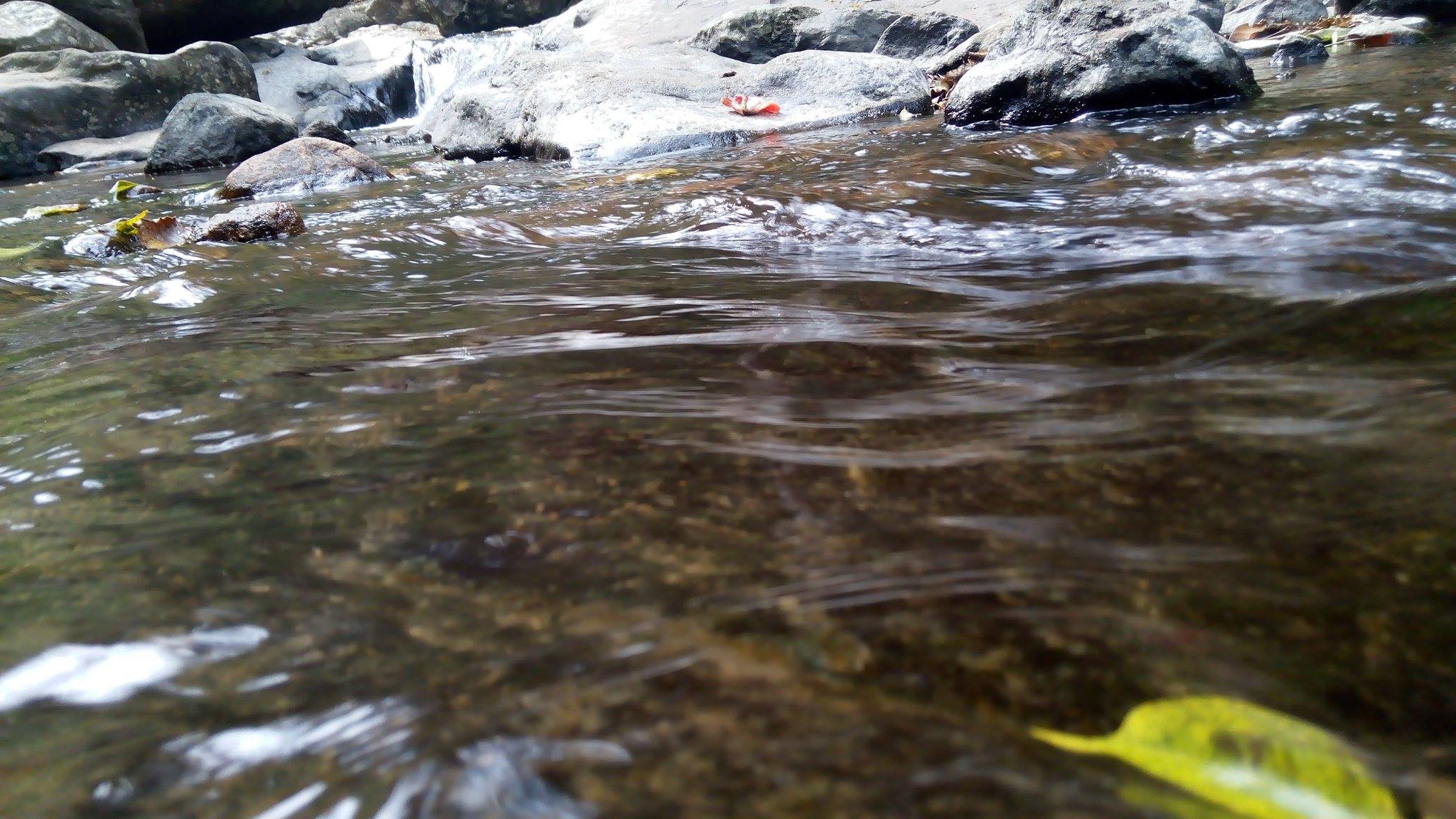 Palaruvi Waterfalls Kollam Kerala