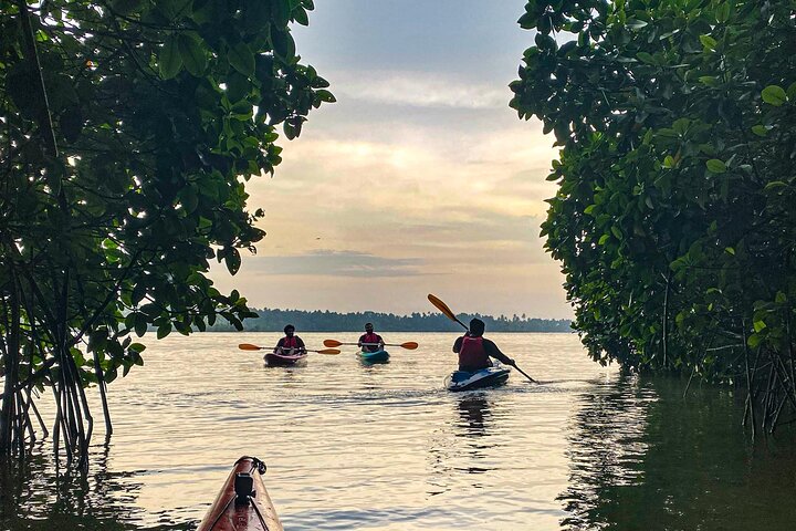 Paravur Backwaters and Lake