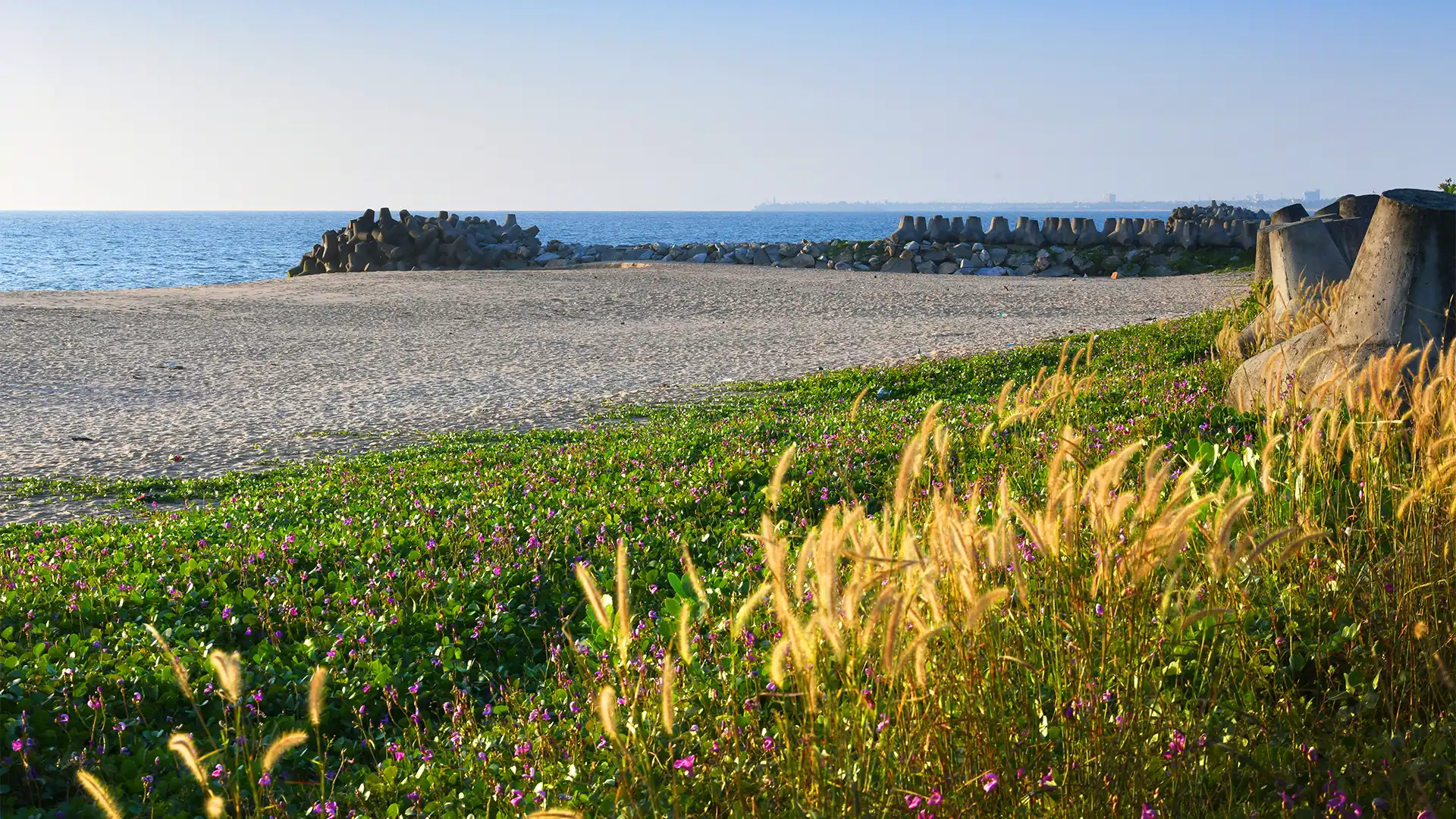 Thanni Beach