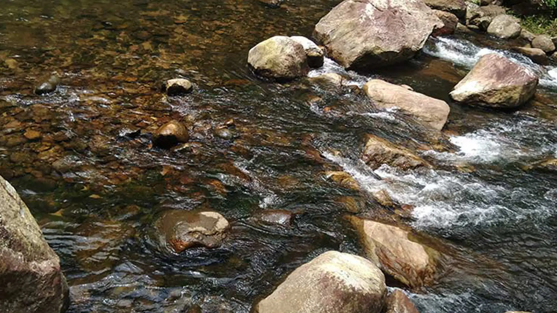 Vattathil Thangal Waterfalls